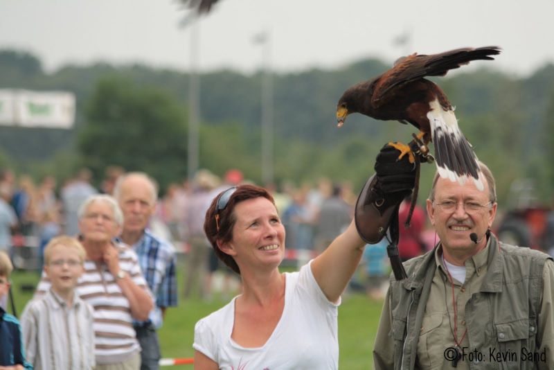 roofvogelshow agri fair