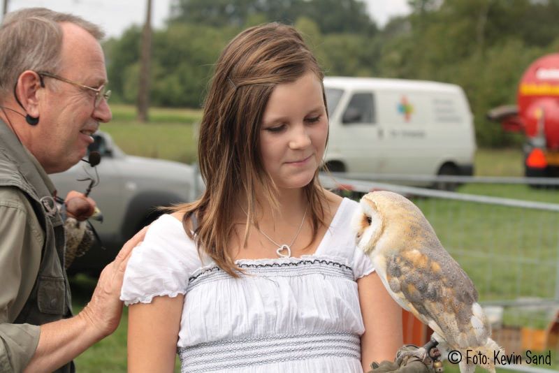 roofvogelshow agri fair