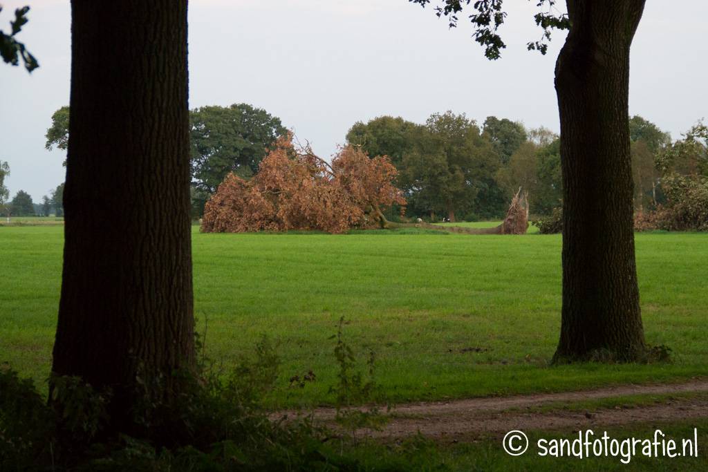 Eerder Achterbroek Sand Fotografie