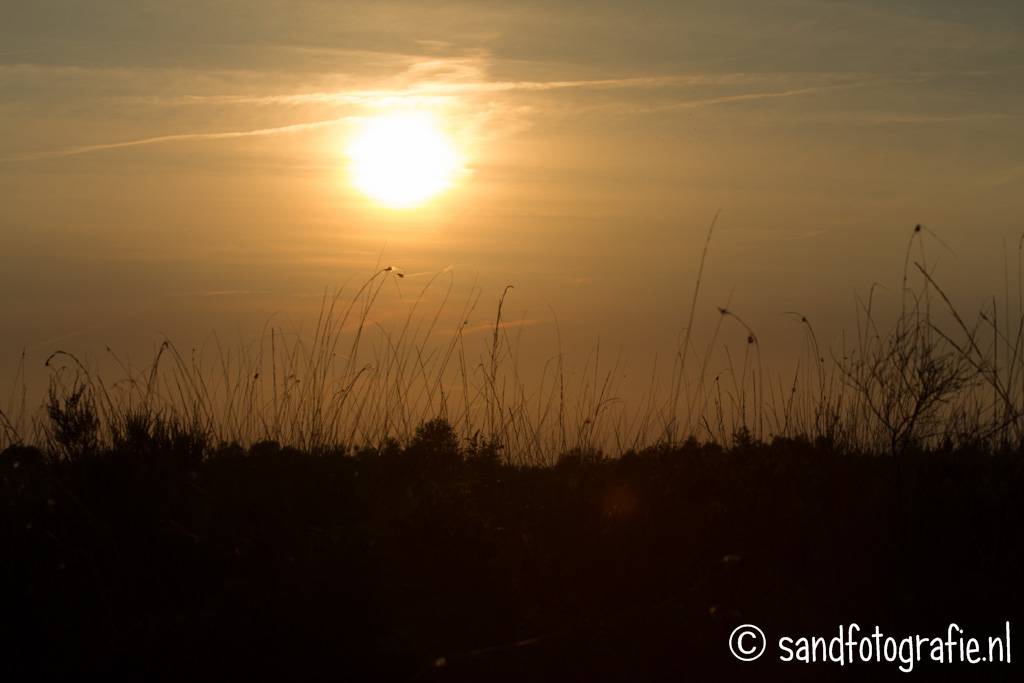 Engbertsdijksvenen 2014 Sand fotografie