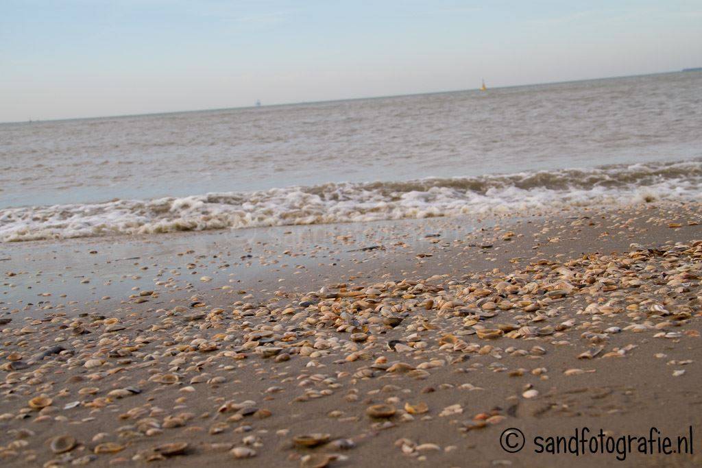 Strand Scheveningen 2014 Sand Fotografie