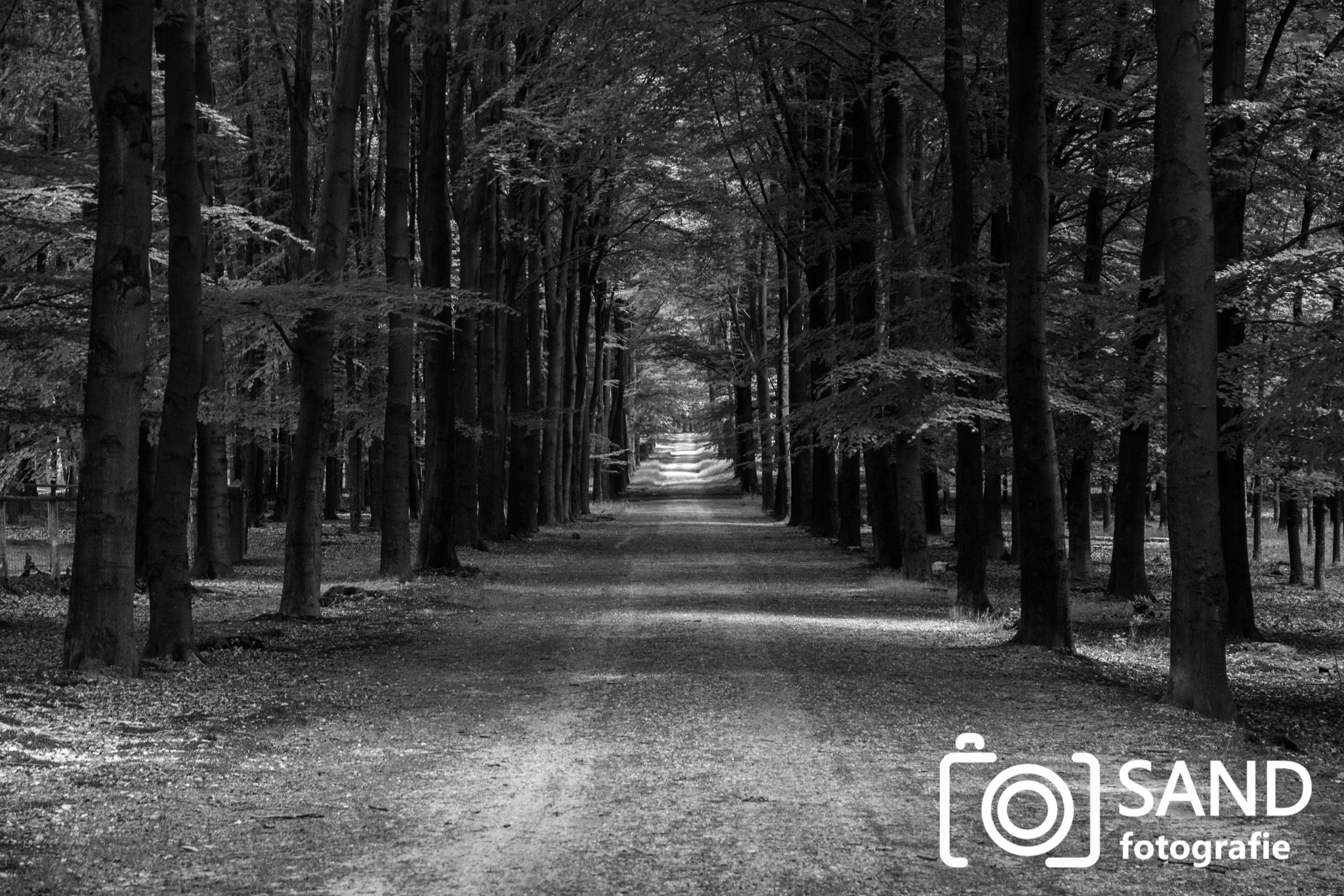 Wildpark het Aardhuis Apeldoorn Sand fotografie