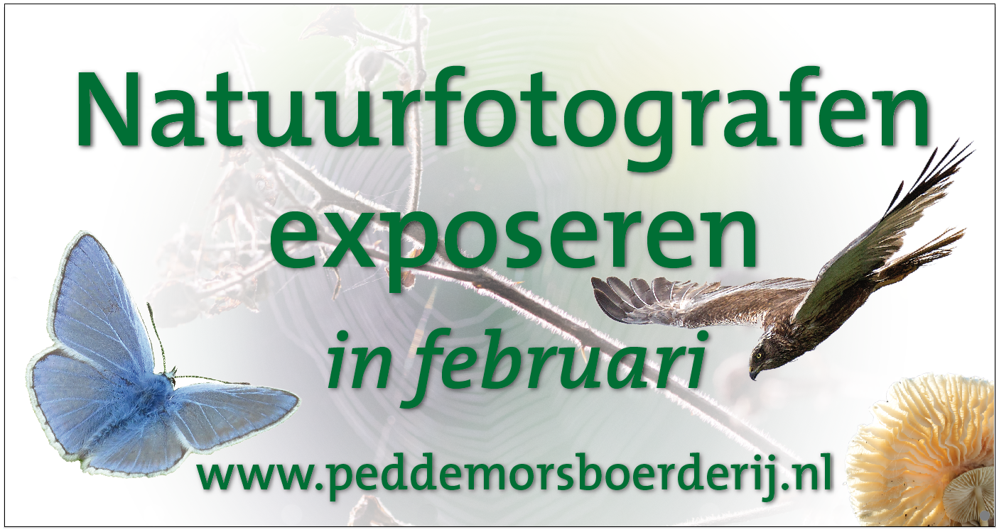 Natuurfotografen exposeren in Peddemorsboerderij in Vriezenveen