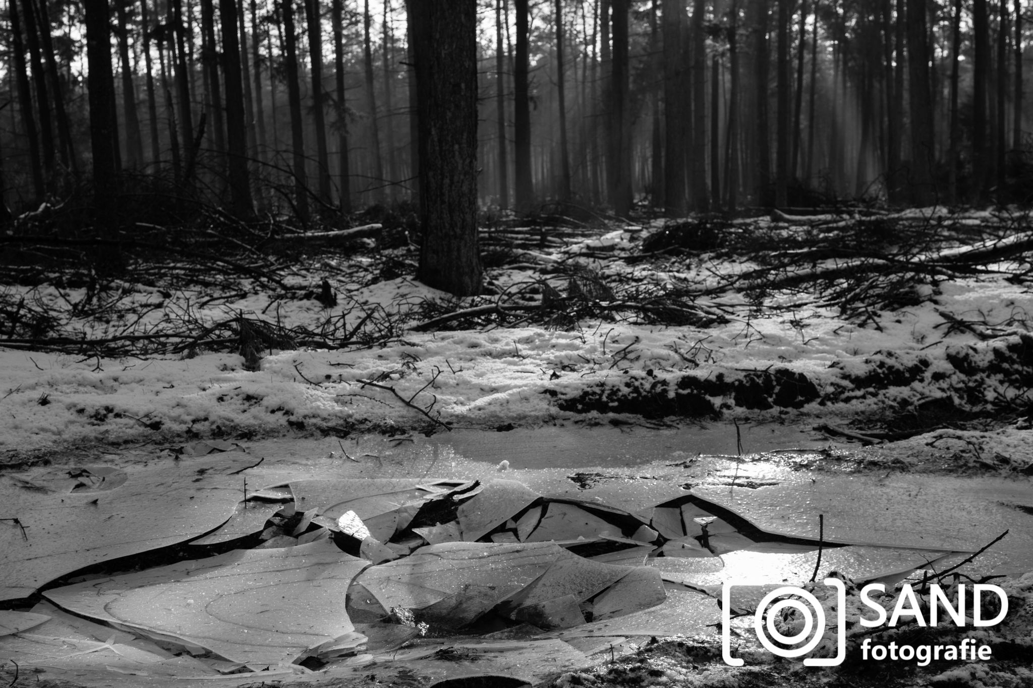 De Sallandse Heuvelrug 2017 Sand Fotografie