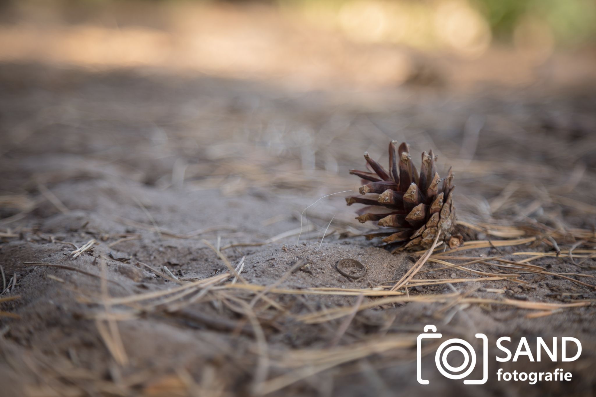 Herfst 2018 Sand Fotografie