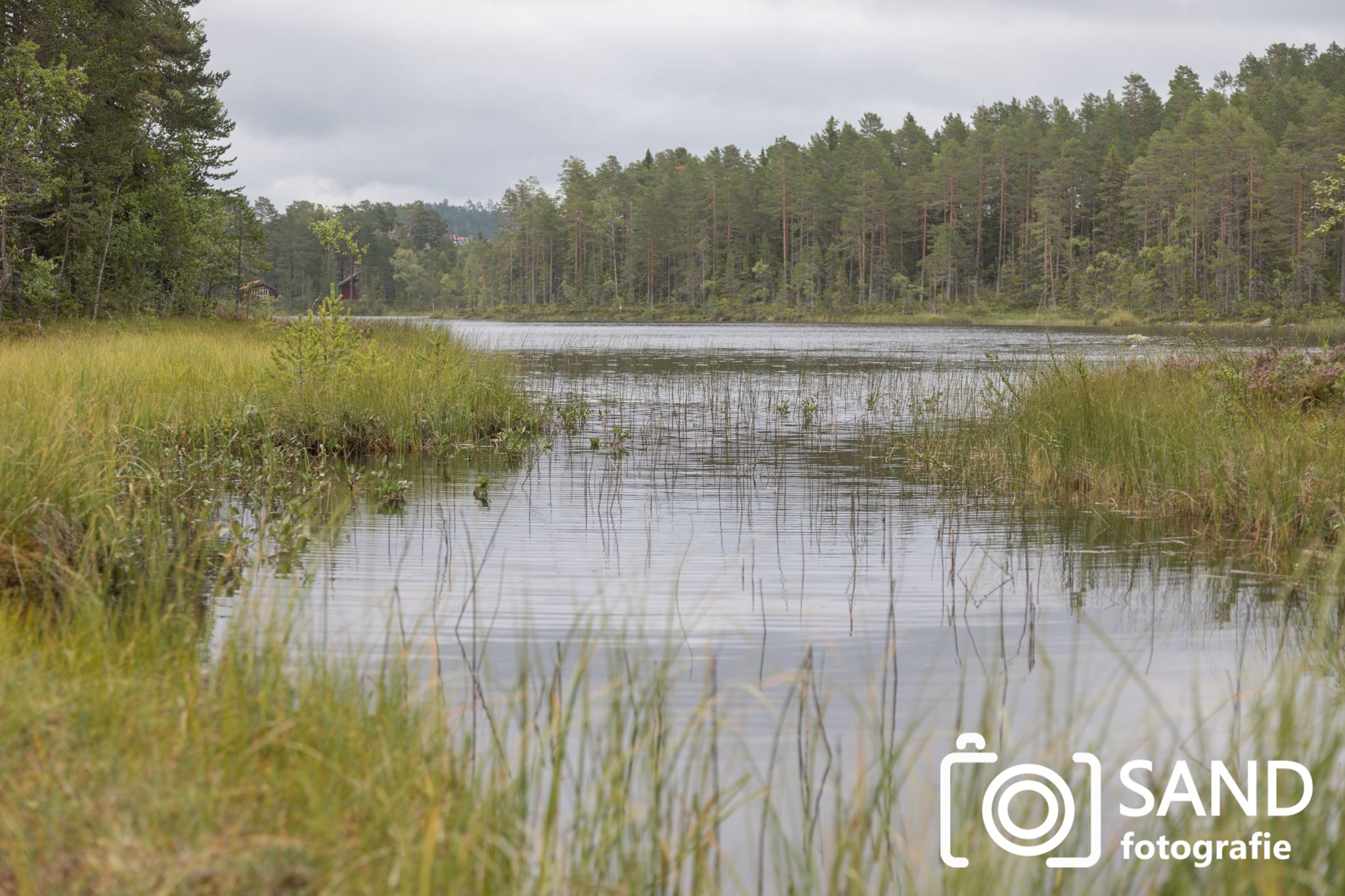 Natuur Zweden 2019 mmv Sand Fotografie