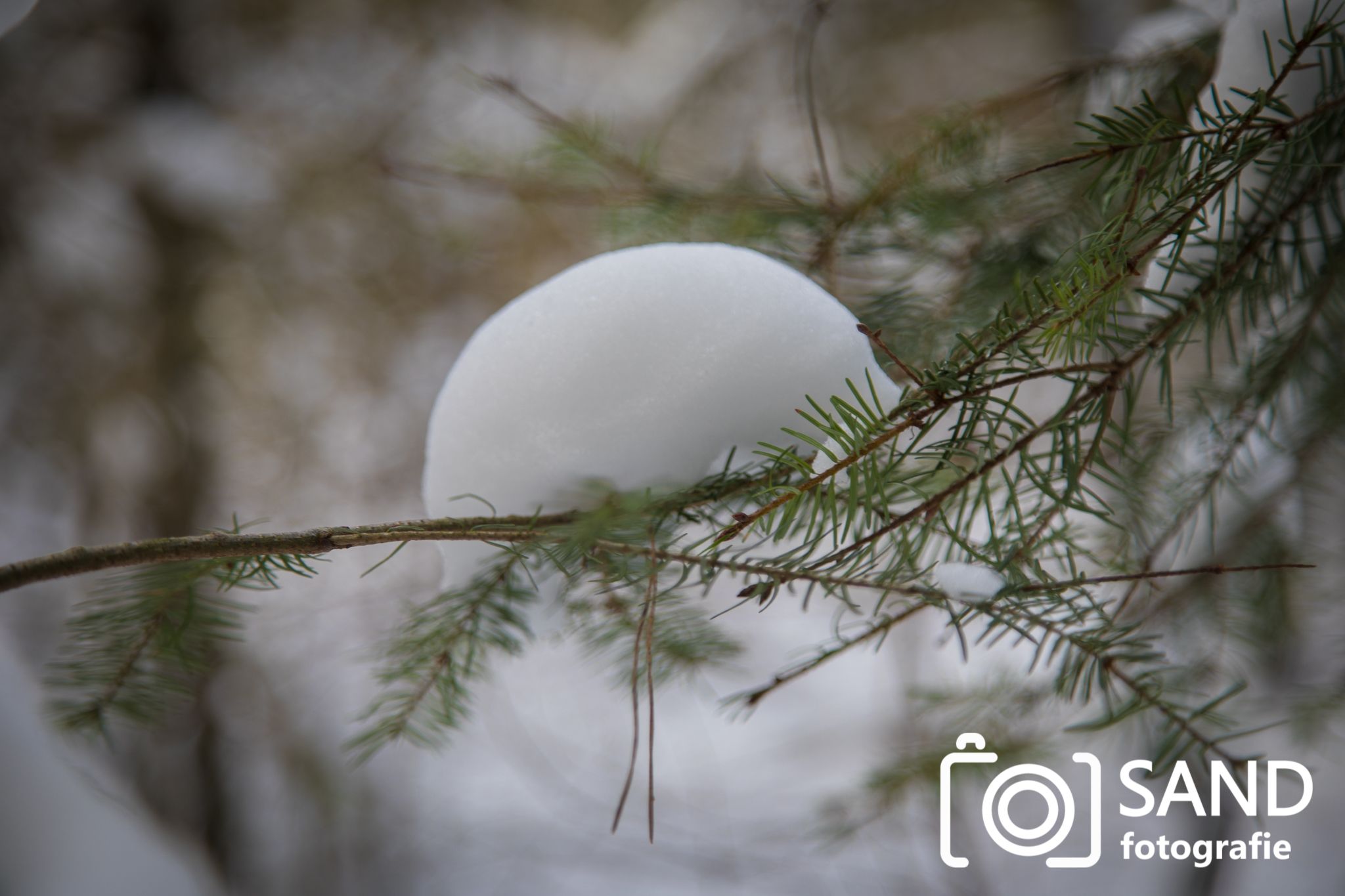 Sneeuw op de Sallandse Heuvelrug Nijverdal Sand Fotografie