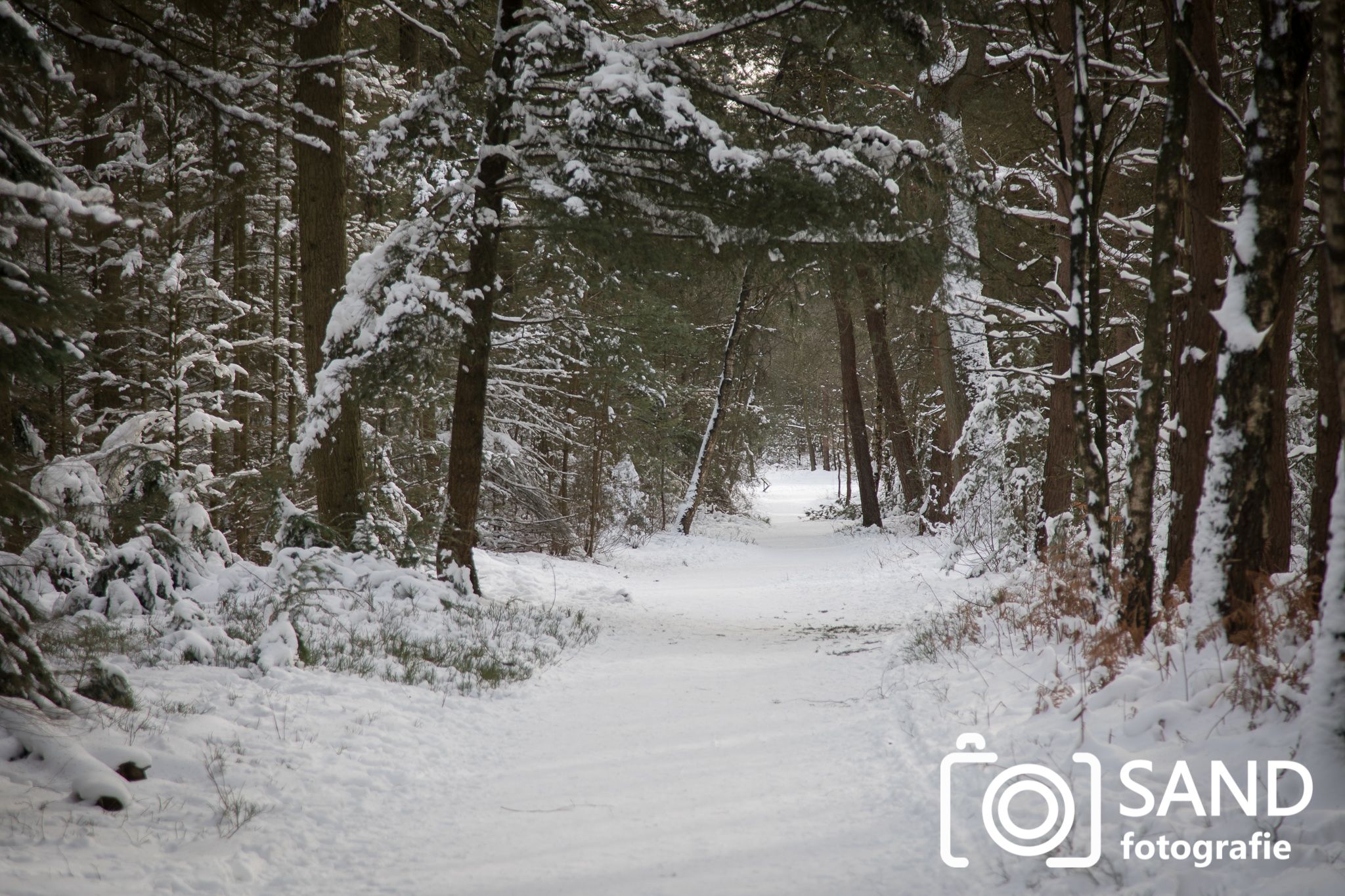 Sneeuw op de Sallandse Heuvelrug Nijverdal Sand Fotografie