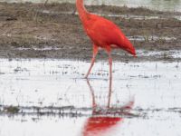 20210620-Sand-IMG_1481
