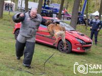 20240424-Sandfotografie-IMG_2324