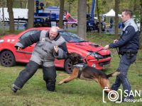 20240424-Sandfotografie-IMG_2380